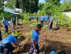 Lanud Pattimura Panen Singkong dan Semangka, Sinergi Ketahanan Pangan dan Visi Asta Cita