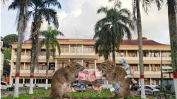 Gaji GTT Maluku Oktober–Desember 2025 Menguap, Manajemen Dinas Pendidikan Dipertanyakan