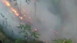 KABUT ASAP DAN KARHUTLA MENGEPUNG MALUKU, KINERJA DISHUT DIPERTANYAKAN