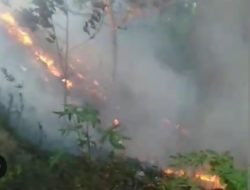 KABUT ASAP DAN KARHUTLA MENGEPUNG MALUKU, KINERJA DISHUT DIPERTANYAKAN